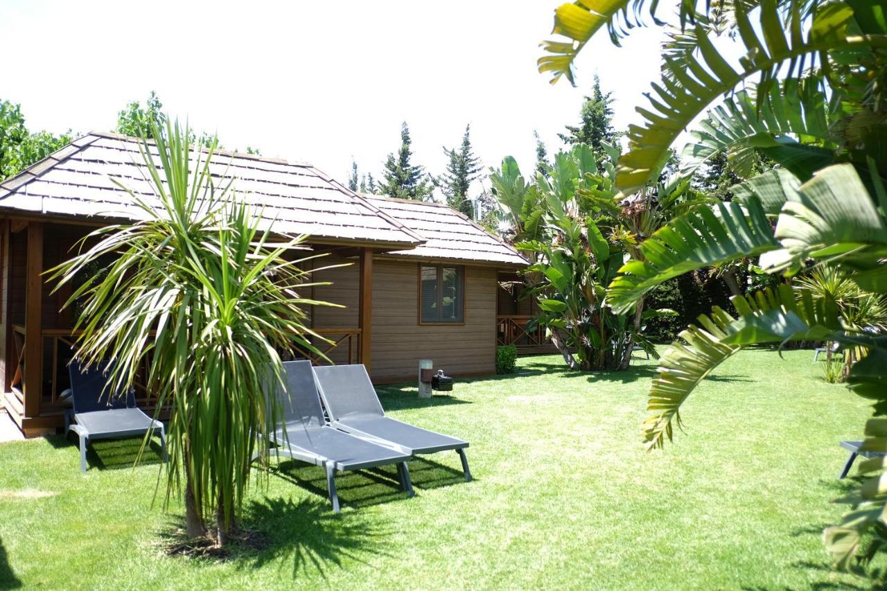 Playa Montroig Camping Resort Exterior photo